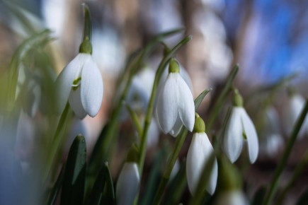 ������ ����!. ������� � ������������ � ������� � ��������� �������� ������ ��� �������