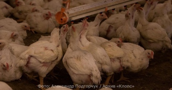 ��������������� ���� � ��� ��������� ����� ��������� �� �������� ������