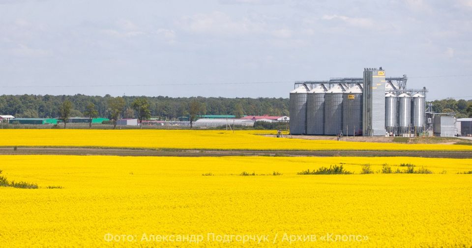 Калининградские аграрии завалят китайский рынок жмыхом, шротом и маслом