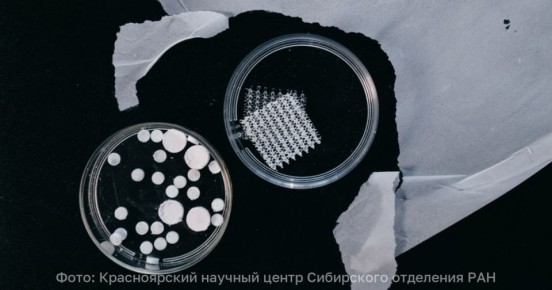 ������ �� ����������� ������� ���������� �� ������� ���������� ������ � ��������