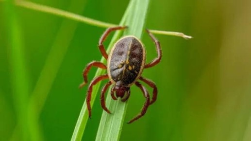 ����� ����������: � ���������������� ��������� � ���, ��� ����� ����� �� ��������� ����������