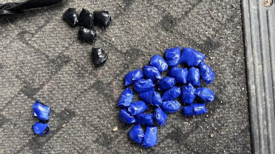 � ��������������� ������� ������������ ����������� �������� ������������ ������ ���, ���������� � ��������� �� ���� ������� ������ ����������