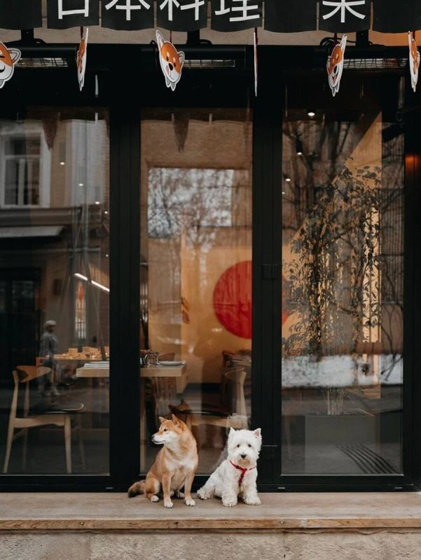 Гармония Японии в дизайне ресторана Shiba