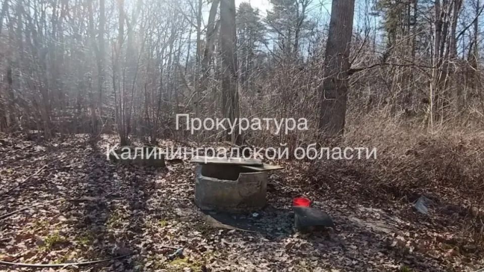 Прокуратура Правдинского района отреагировала на жалобы жителей пос