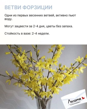 ����� ������� ������ �������� ����� ����� � ��������� ����� � ����