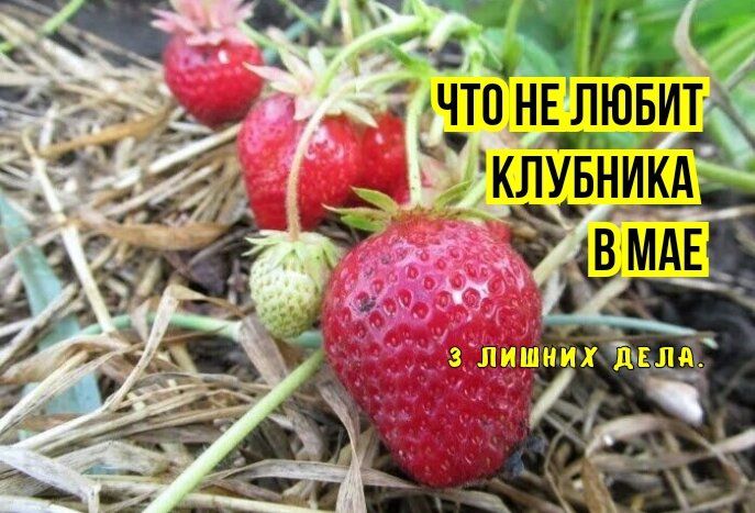 ������ ���� �� ��������� �� ������ �������� ��� ��� ����