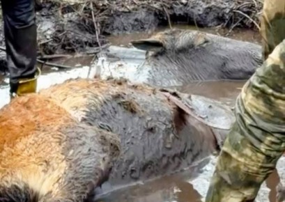 ��� ��������������� ������� ������ ����� ��� ������ ������ �������� �� ������