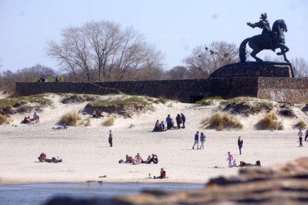 В Калининградской области назвали место бесплатной раздачи готовой салаки