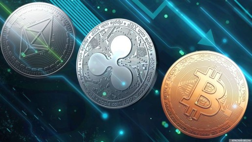 ������������� ������ �������� ������������ � ������������� �����������