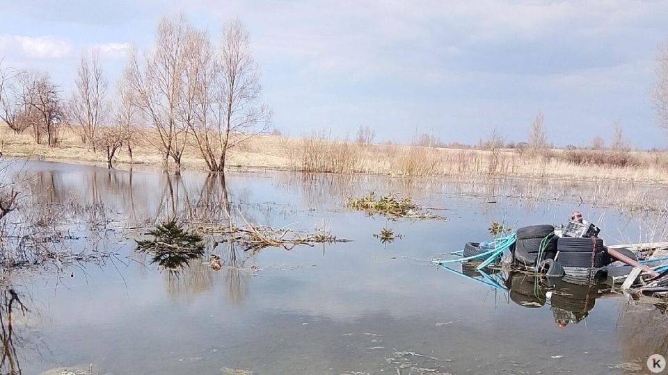 Причиной подтопления придомовых территорий в посёлке Карамышево Озёрского района стал заболоченный канал и другие возникшие из-за этого проблемы, которые обнаружили муниципальные власти