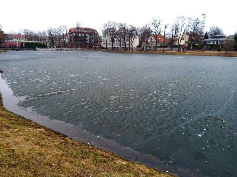 ����� ������������ � �������� ��������� ��������� ����������