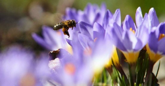 �� +15 � ��������������� �����: ����� ������ ��� ��������������� ������� � �����