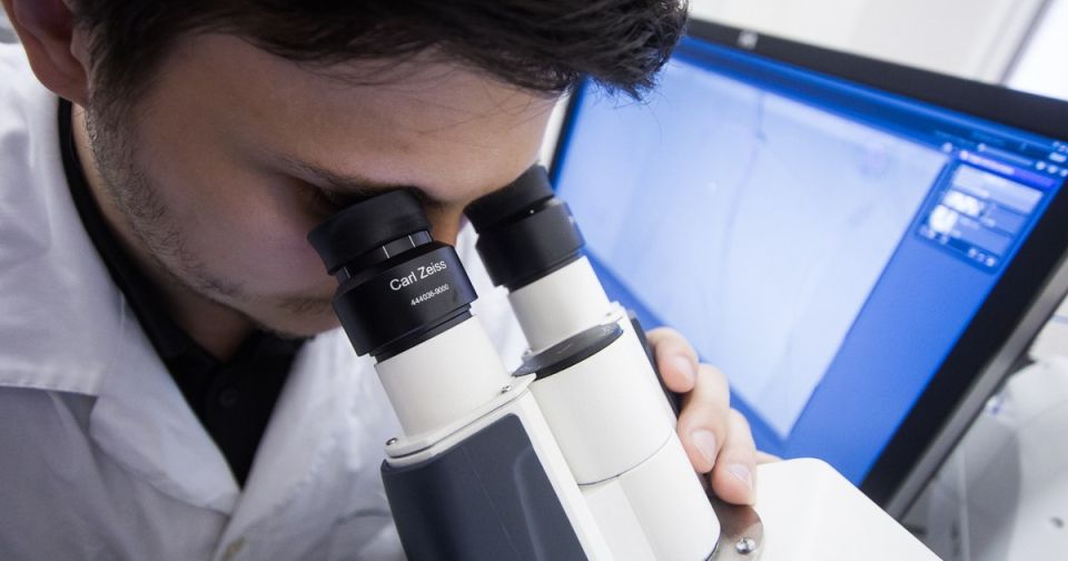 ������ �� ���-����� ������� ��������� ��������, ���������� ����� �������