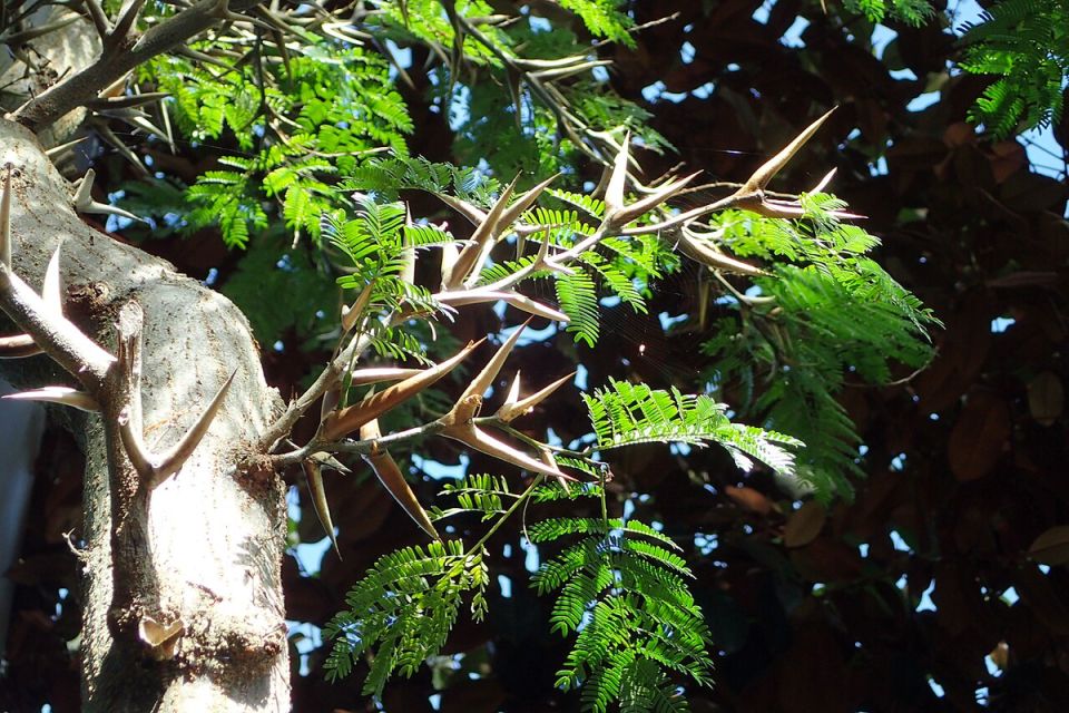 ������� � ������: ������������ ������� ��� �������?