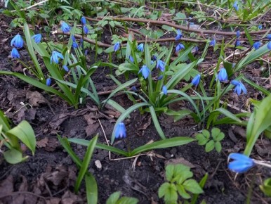 � ������ ������������ ������������ �������� �� ��� ���� �����