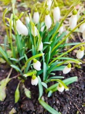 � ��������� � �������� ���� ���������� ������� �� ����� �����������