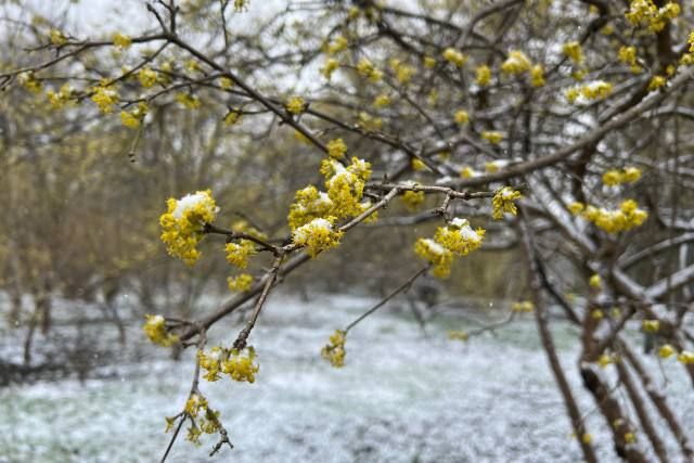 �� ���, �� ��� �� ��������������! ����������� ���������� � ����������� � ������ ����� � ��������������� ������� � ������ ������