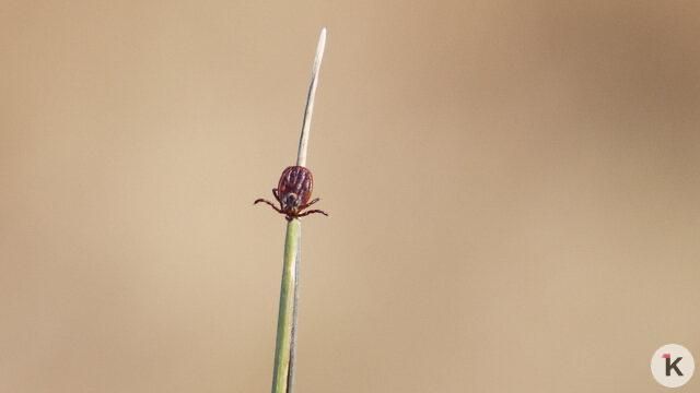 ����� �� �������������� ��������� ������� ���� ������, ������� ������� ������ � �����, ��������� �������