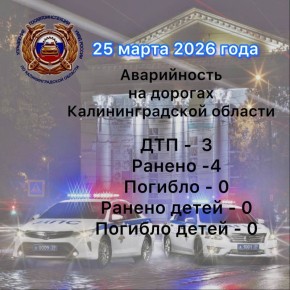 За сутки сотрудниками Госавтоинспекции выявлено 2649 нарушений Правил дорожного движения, в том числе:
