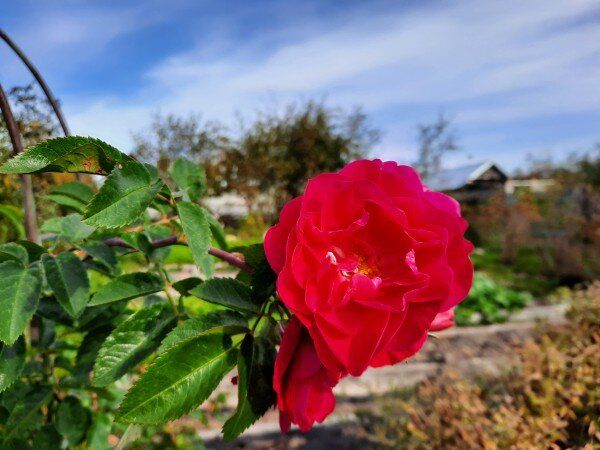 ��� ����������� ��� � ����: ������ ���� ��� ��������