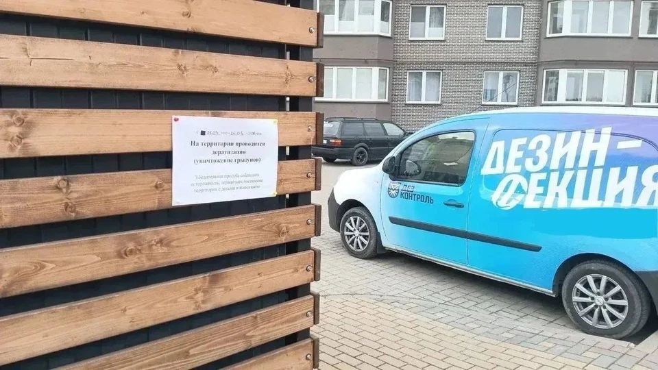 � ������������ ������ ������� �������������� �� ���� ����