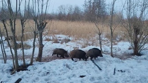 �� �������� ���� �������� ������ �������� ������� ������