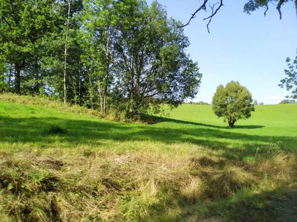 ���� � ������������ ���� ������ �������