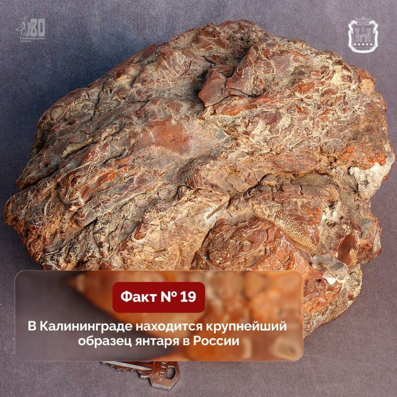 ���������� �������� ������� � 80-����� ��������������� �������