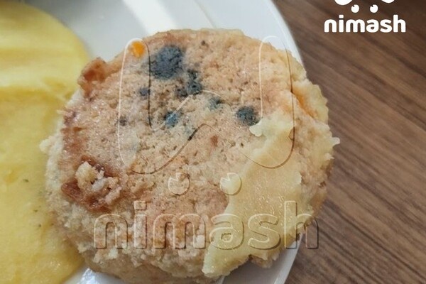 Школьные обеды на грани: котлеты с плесенью вызвали возмущение родителей