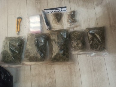 Наркоплантация, патроны и взрывчатка: транспортная полиция задержала двух калининградцев