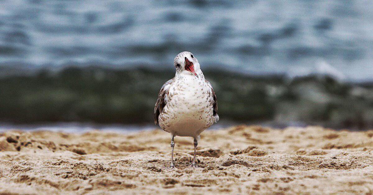 В Калининградской области днём в среду потеплеет до +10 градусов