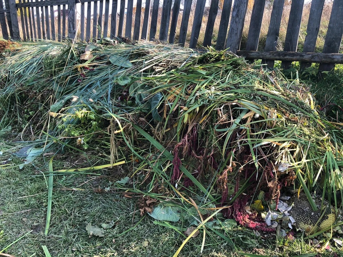 Как ускорить разложение в компостной куче: полезные советы для дачников