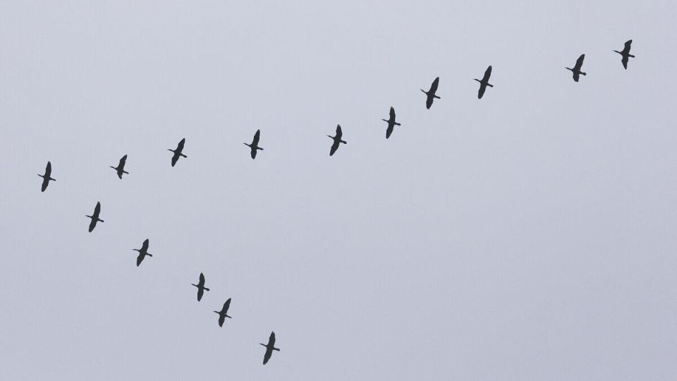 ���������������� ������� ���������� ��������� � ����� ������, ������ ��������� �������� 28 �����, ���� ������ ����� �������� � 1 ������ � ��� ����