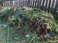 Как ускорить разложение в компостной куче: полезные советы для дачников