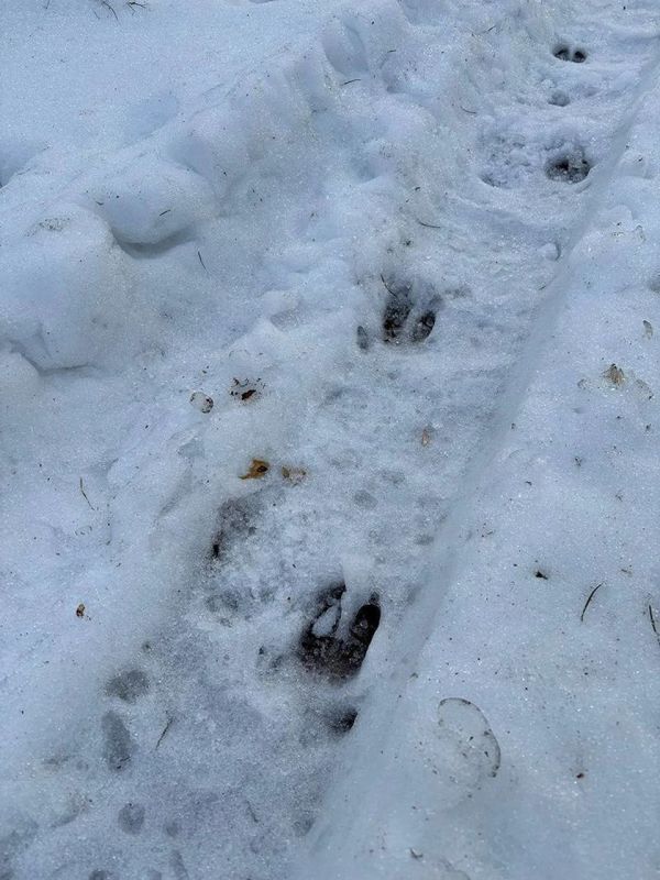 �� �������� ���� ����� ������� � �������� ���� ����������� ����������� ������