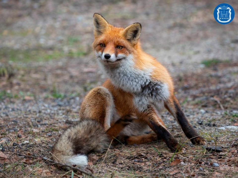 � ������������ ����� ��������� ���� ��������� ����� ��������