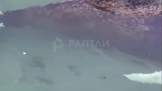 ���������� � ���������� ���� ��� ������� ��������! ������������ ��������, �� ������� �������� ���� ���, ���������� ������ ���