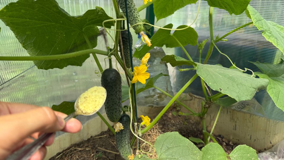 ��� ���� ����� ���� ����� ������ ��� ��������� ������