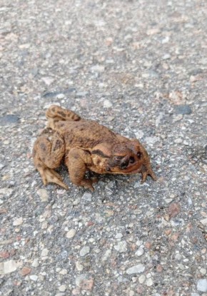 ����� ��������� ���. ��� ������� �� ������ ������� � ���������