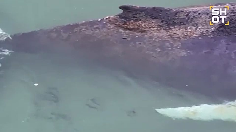 ���������� � ���������� ���� ��� �������� �� �������