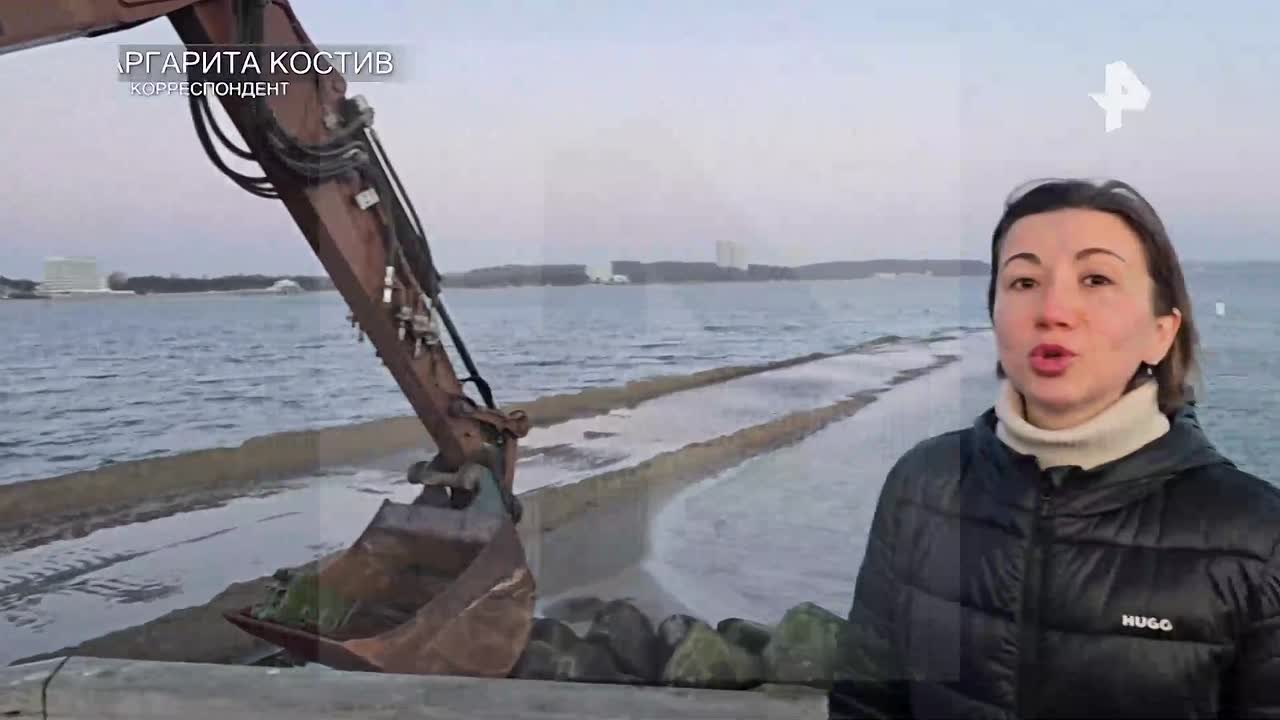 Кита у побережья Германии спасли после нескольких дней масштабной операции, сообщила корреспондента РЕН ТВ Маргарита Костив