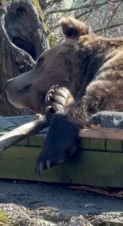 �������, � ������ ����� ���� �������� ���� �������� �� ������ ���������������� ������ � ������������: ��������� � ��������