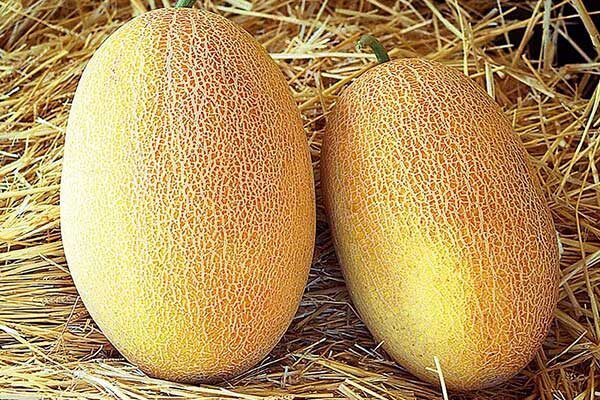 �������� ����������� � �������������� ���� �������