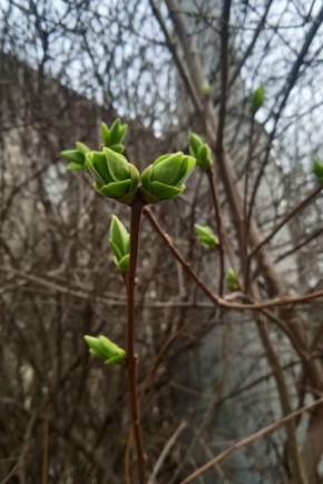 ����������� ���������� ��������!