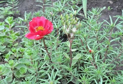 ��������: ��� ��������� ����� ����� �� �����