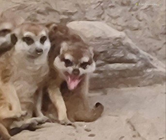 ������ ������� ������� � � ���������!