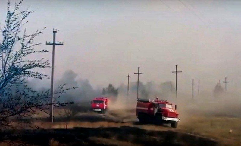 «От штрафа до срока»: в Калининграде пригрозили травяным пироманам