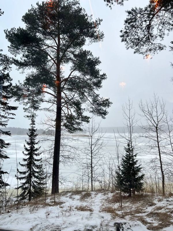 Блины: кулинарное наследие, пронизанное традициями и историей