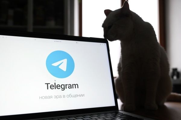 Депутат Свинцов призывает бизнес переосмыслить использование Telegram