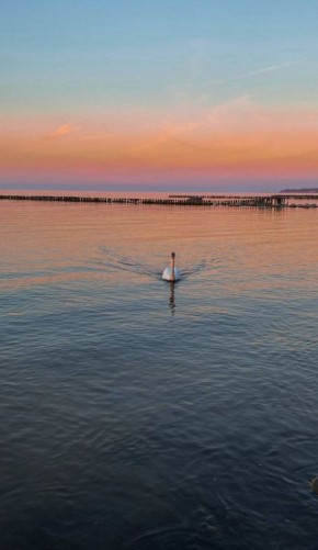 Вечерняя Балтика – особая любовь